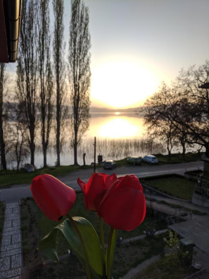 Ajkoski Apartments Peštani Exteriér fotografie
